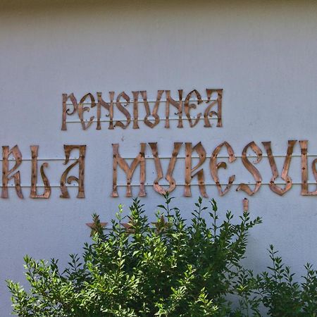 Perla Muresului Alba Iulia Exterior foto